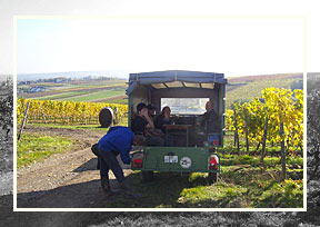 Nach getaner Arbeit geht es nach Hause ins Weingut