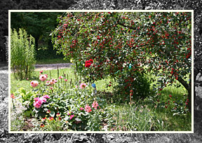 Bauerngarten