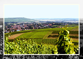 Langenlonsheim