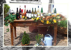 Weinsortiment